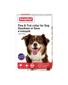 Dyazynon - Beafar Flea & Tick Collar Dog collar purple from fleas 6 months. and ticks 6 months. 65 cm 1 pc. missouri Pharmacy Online - missouri.buy-pharm.com