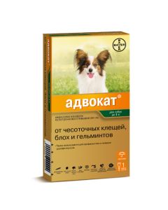 Ymydaklopryd, moksydektyn - Lawyer drops on the withers for dogs up to 4 kg pipette 1 pc. missouri Pharmacy Online - missouri.buy-pharm.com